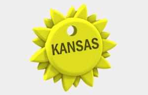 Kansas Sunflower