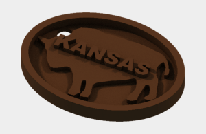 Kansas Buffalo